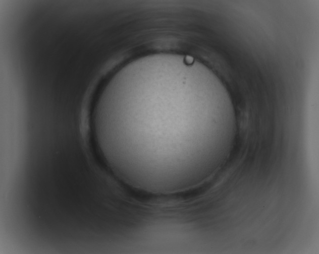 X0000100840727200807070932