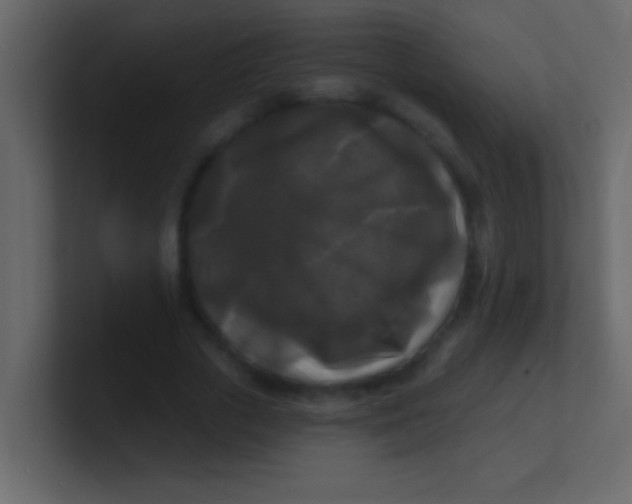 X0000100840729200807070932