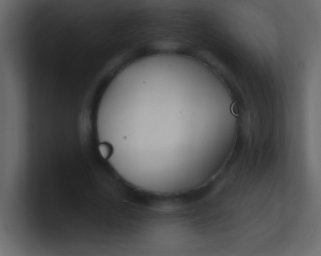 X0000100840731200807070932