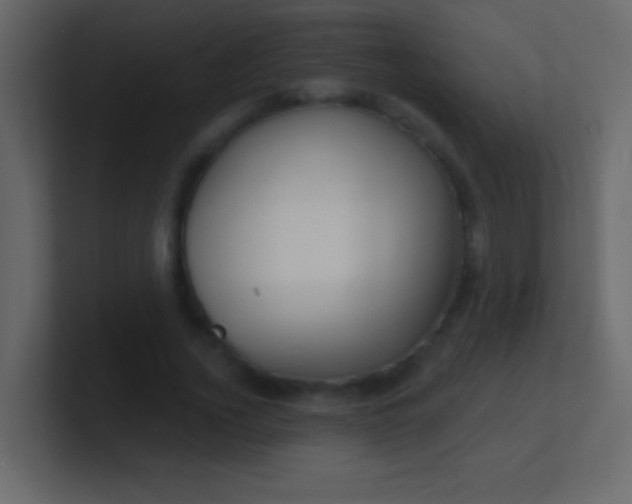 X0000100840732200807070932