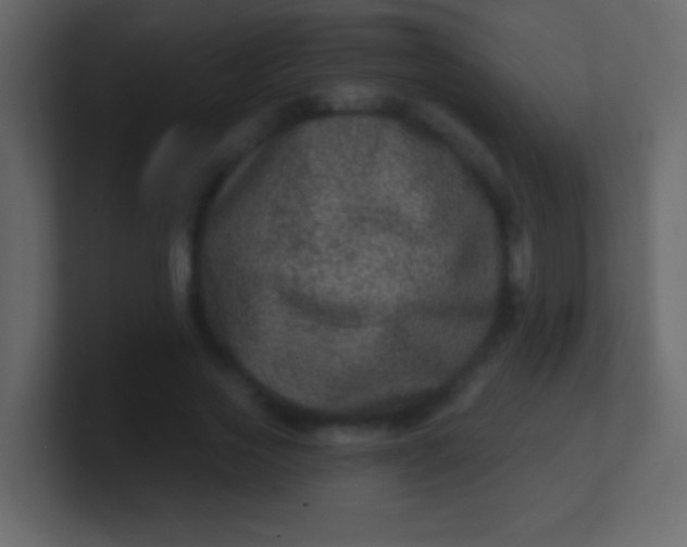 X0000100840733200807070932