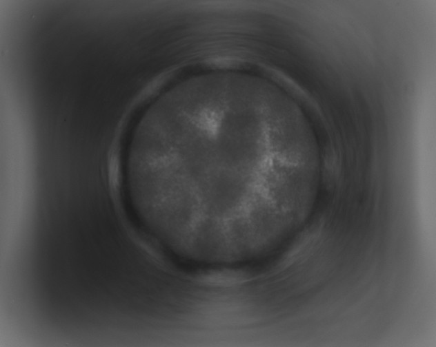 X0000100840734200807070932