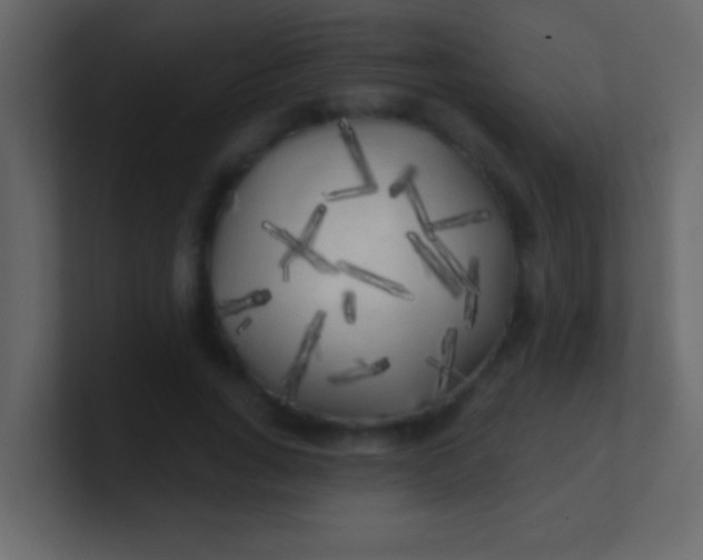 X0000100840735200807070932