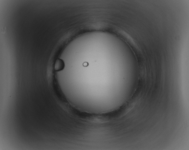 X0000100840736200807070932