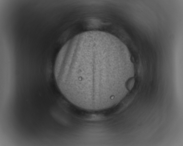 X0000100840737200807070932