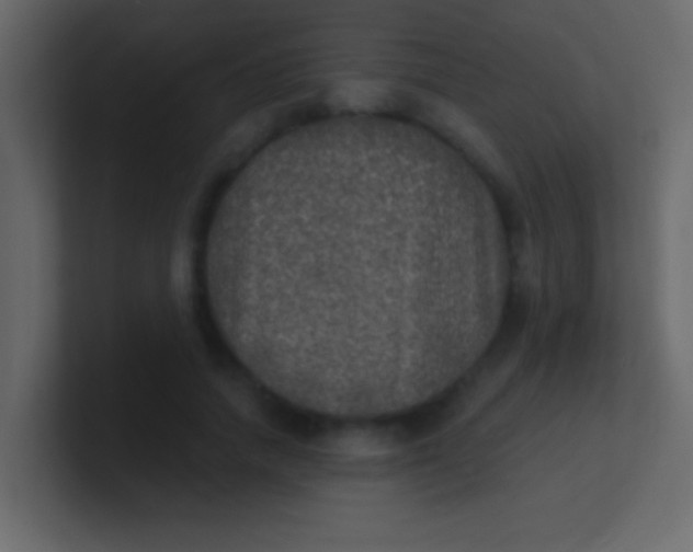 X0000100840738200807070932