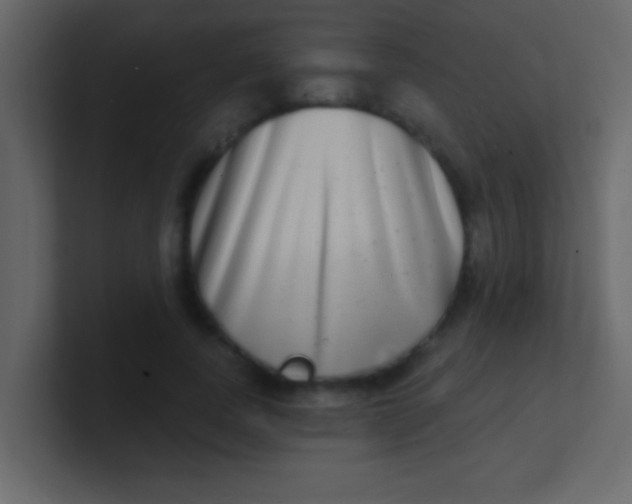 X0000100840739200807070932