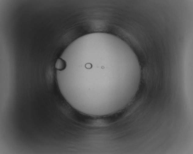 X0000100840741200807070933