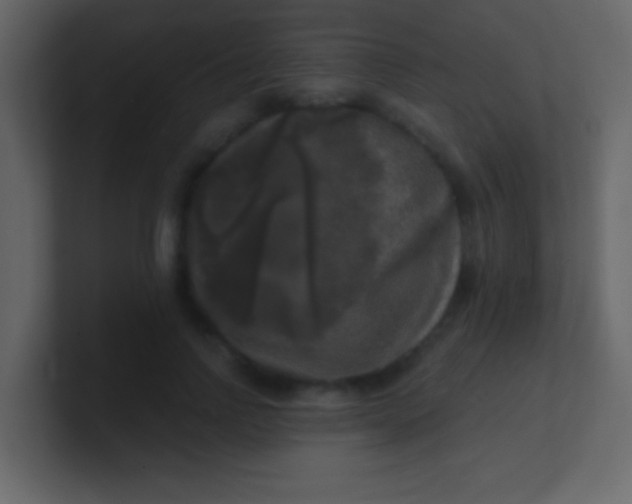 X0000100840742200807070933