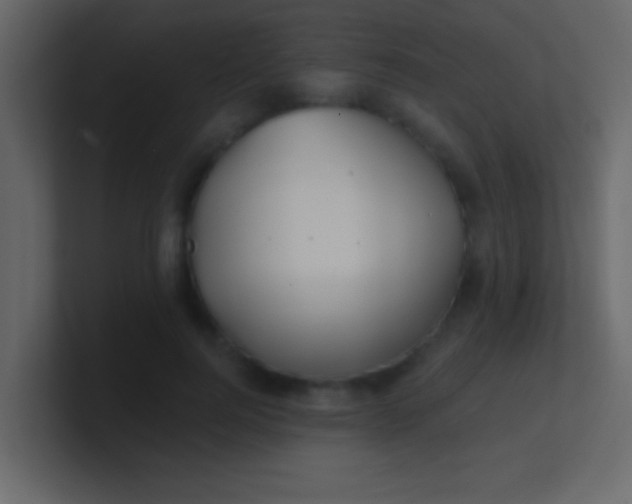 X0000100840744200807070933