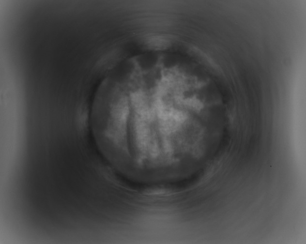 X0000100840745200807070933