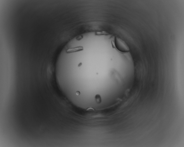 X0000100840747200807070933