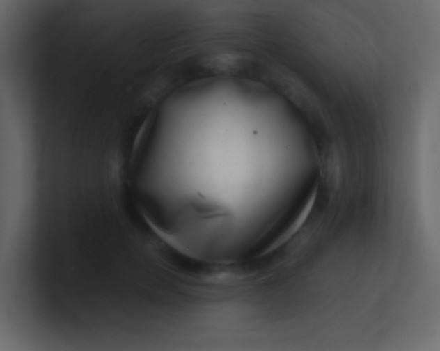 X0000100840750200807070933