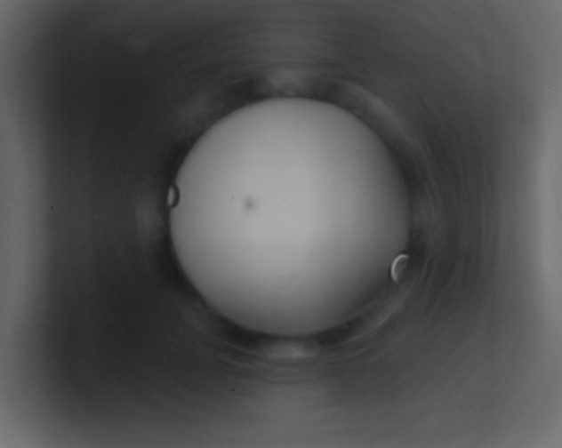 X0000100840751200807070933