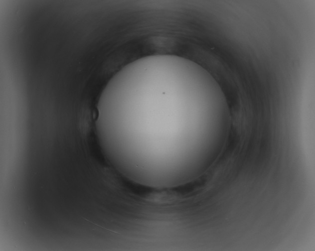 X0000100840752200807070933