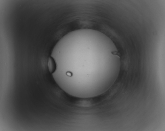 X0000100840756200807070933