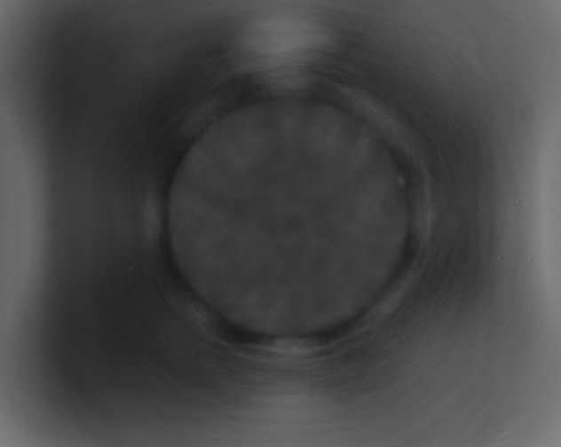 X0000100840758200807070933