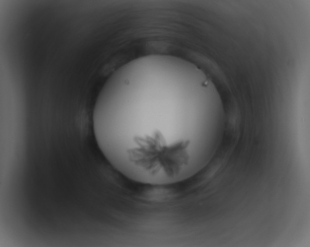 X0000100840759200807070933