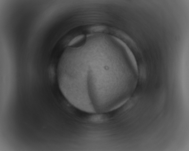 X0000100840761200807070933