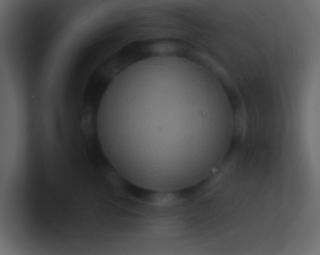 X0000100840762200807070933