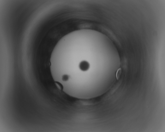 X0000100840763200807070933