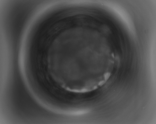 X0000100840765200807070933