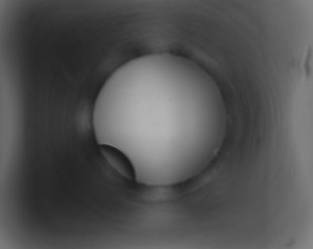 X0000100840768200807070933