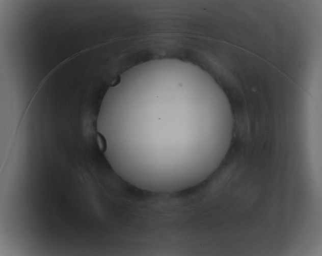 X0000100840770200807070932