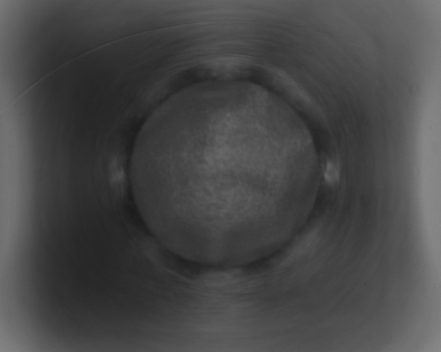 X0000100840771200807070932