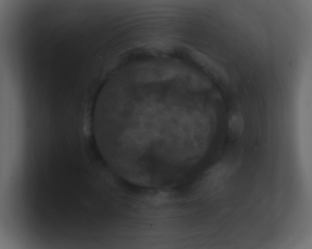 X0000100840772200807070932