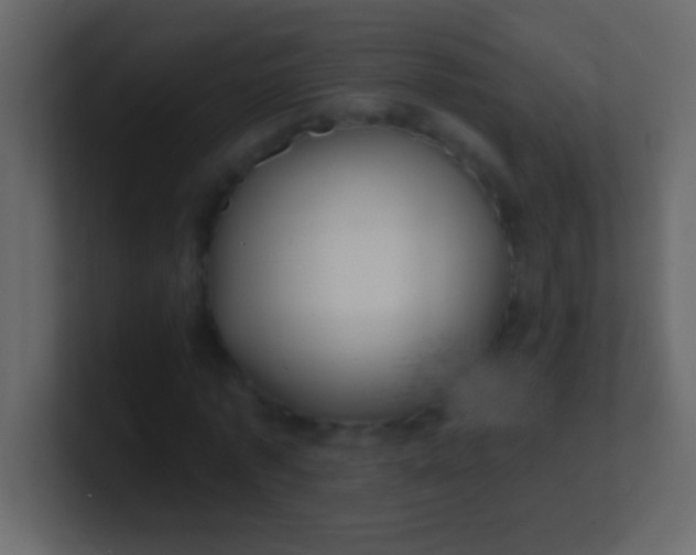 X0000100840773200807070932