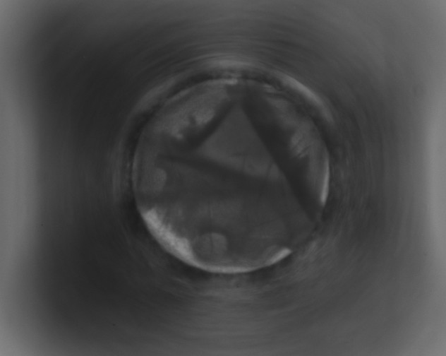 X0000100840775200807070932