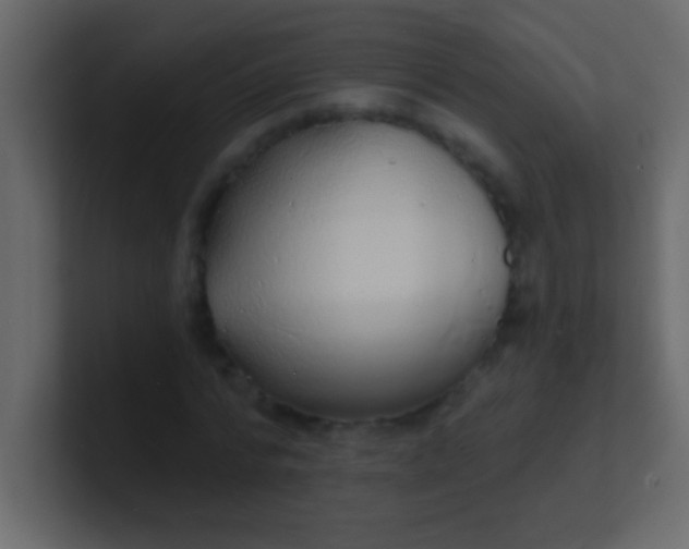 X0000100840776200807070932