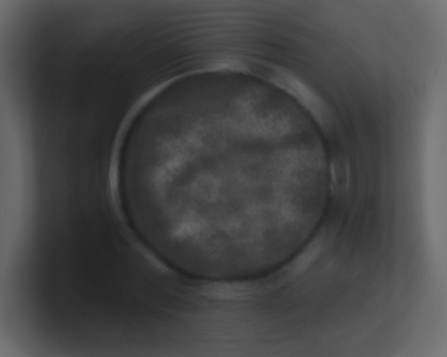 X0000100840780200807070932