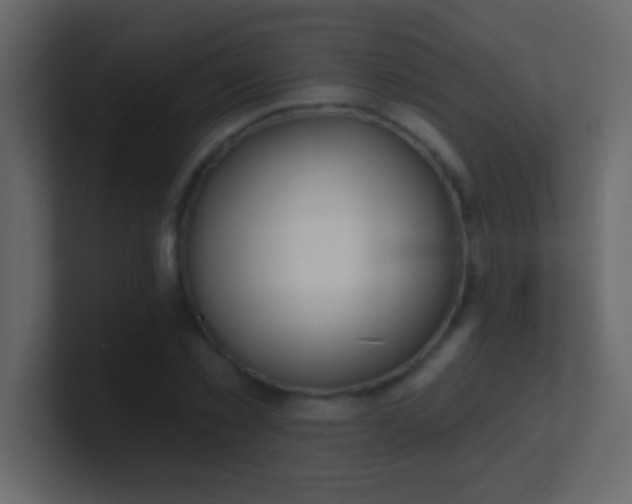 X0000100840781200807070932