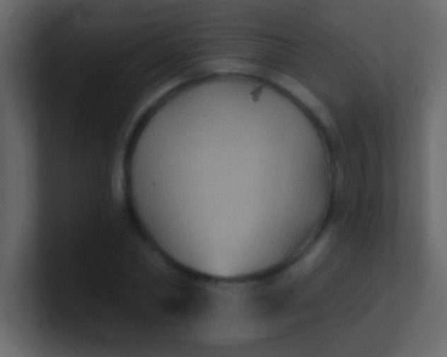 X0000100840782200807070932