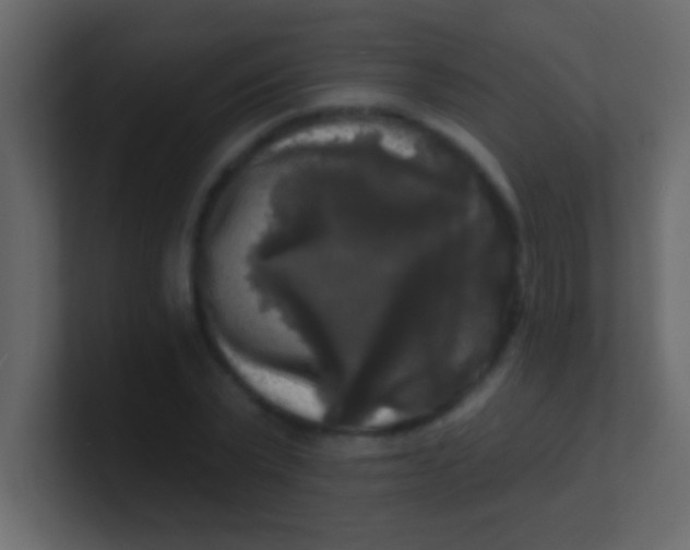 X0000100840783200807070932