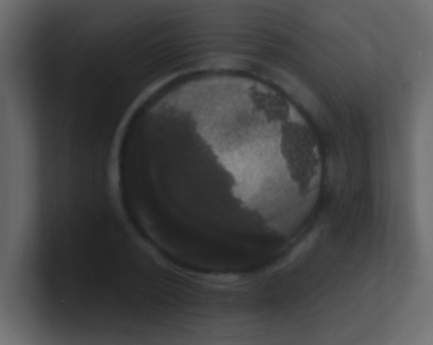 X0000100840784200807070932