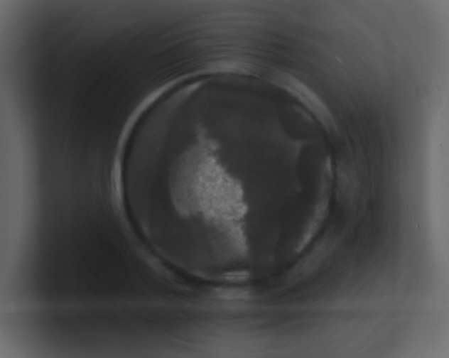 X0000100840788200807070932