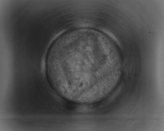 X0000100840790200807070932