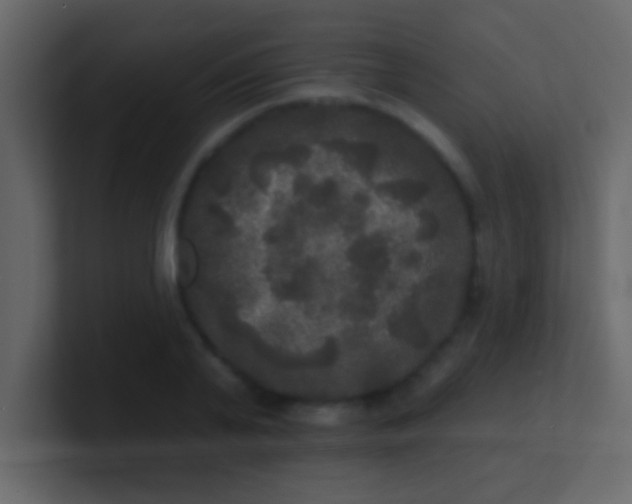 X0000100840791200807070932