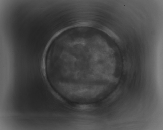 X0000100840792200807070932