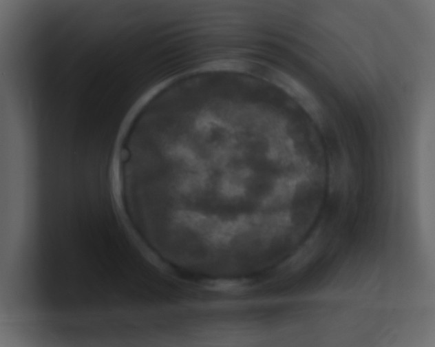 X0000100840796200807070932