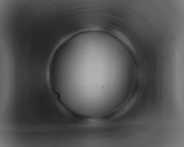 X0000100840797200807070932