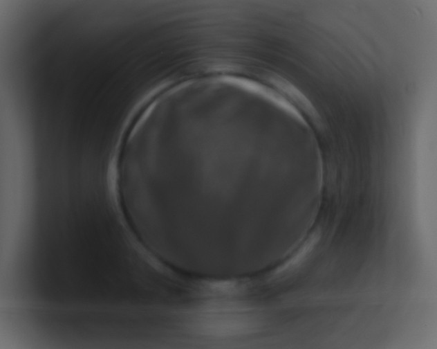 X0000100840798200807070932