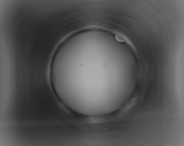 X0000100840799200807070932