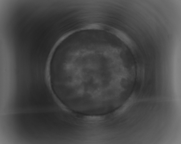 X0000100840800200807070932