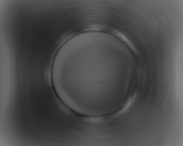 X0000100840802200807070932