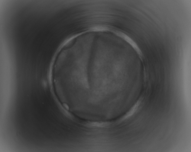 X0000100840803200807070932