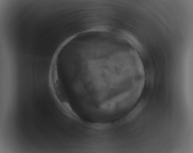 X0000100840804200807070932